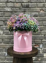 Цветочная композиция из Гипсофила и Розы в шляпной коробке #REPLACE_PRED# Советске Кировской области