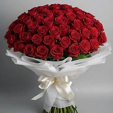 Букет 101 Красная роза Блэк Мэджик в Советске Кировской области