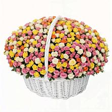 Премиум букет из: Розы в Советске Кировской области