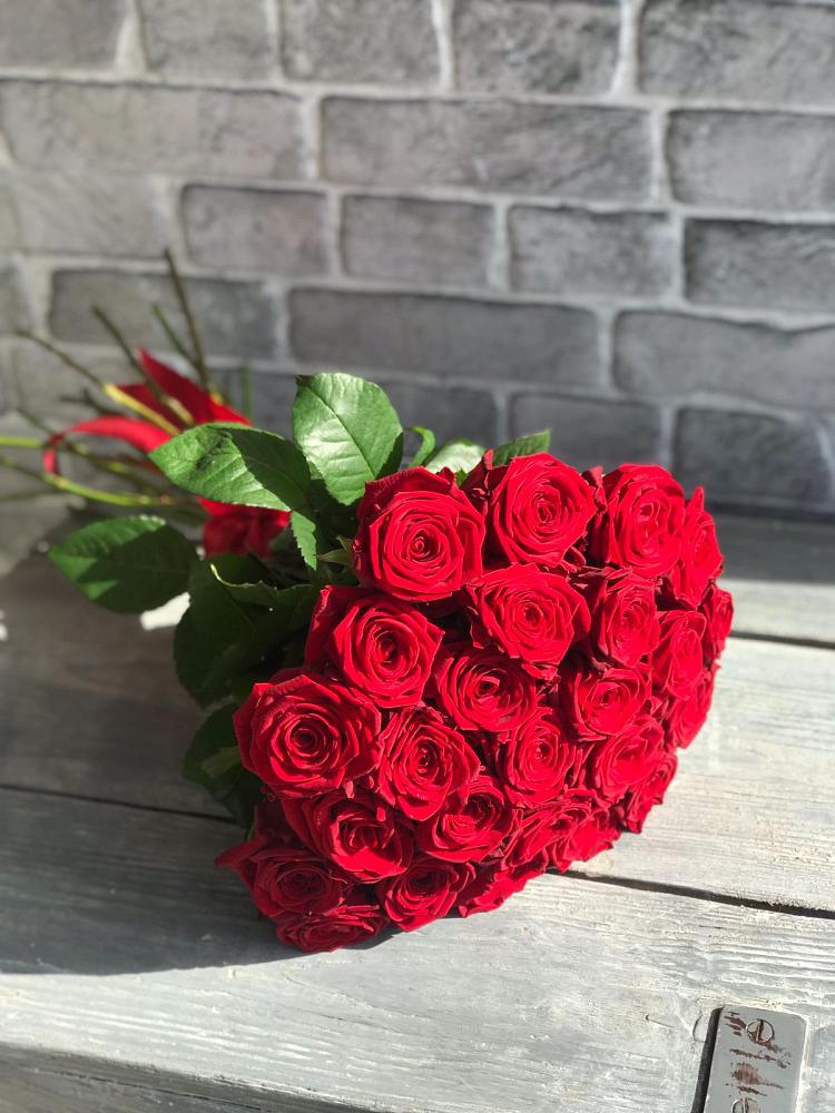 Букет Красные розы Фридом в Советске Кировской области