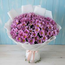 Букет цветов из:  Хризантемы в Советске Кировской области