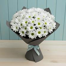 Букет цветов из:  Хризантемы #REPLACE_PRED# Советске Кировской области