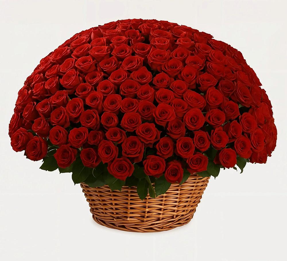 Премиум букет из: Розы в Советске Кировской области