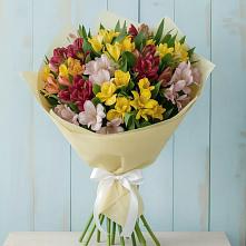 Букет цветов из:  Альстромерии в Советске Кировской области