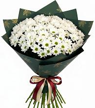 Букет цветов из:  Хризантемы в Советске Кировской области
