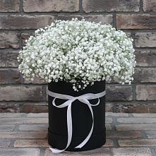 Цветочная композиция из Гипсофила в шляпной коробке в Советске Кировской области
